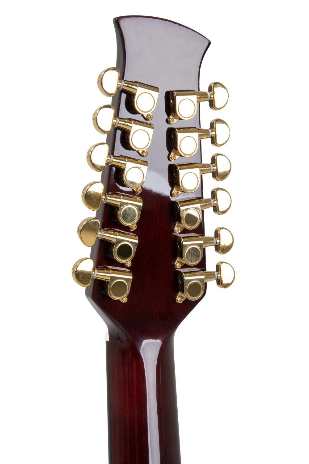 Applause Wood Jumbo 12-String - view 14