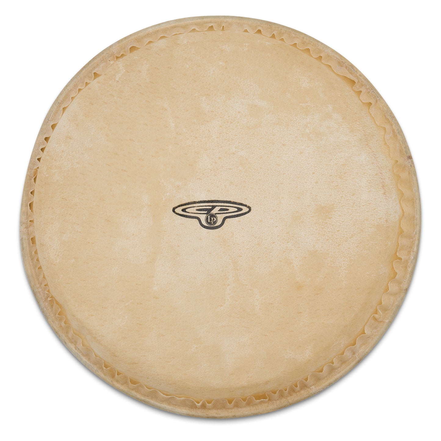 CP 7 Rawhide Bongo Head