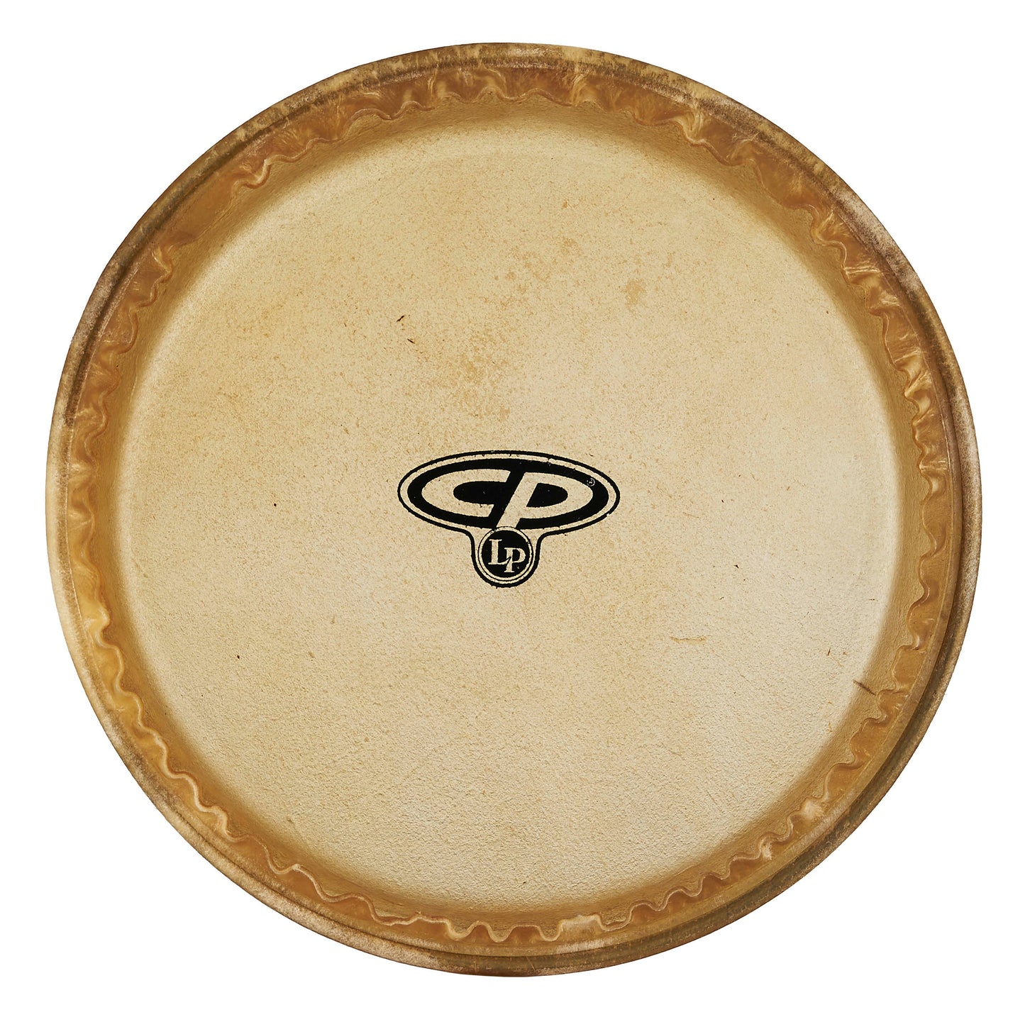 CP 10 MTD Conga Head