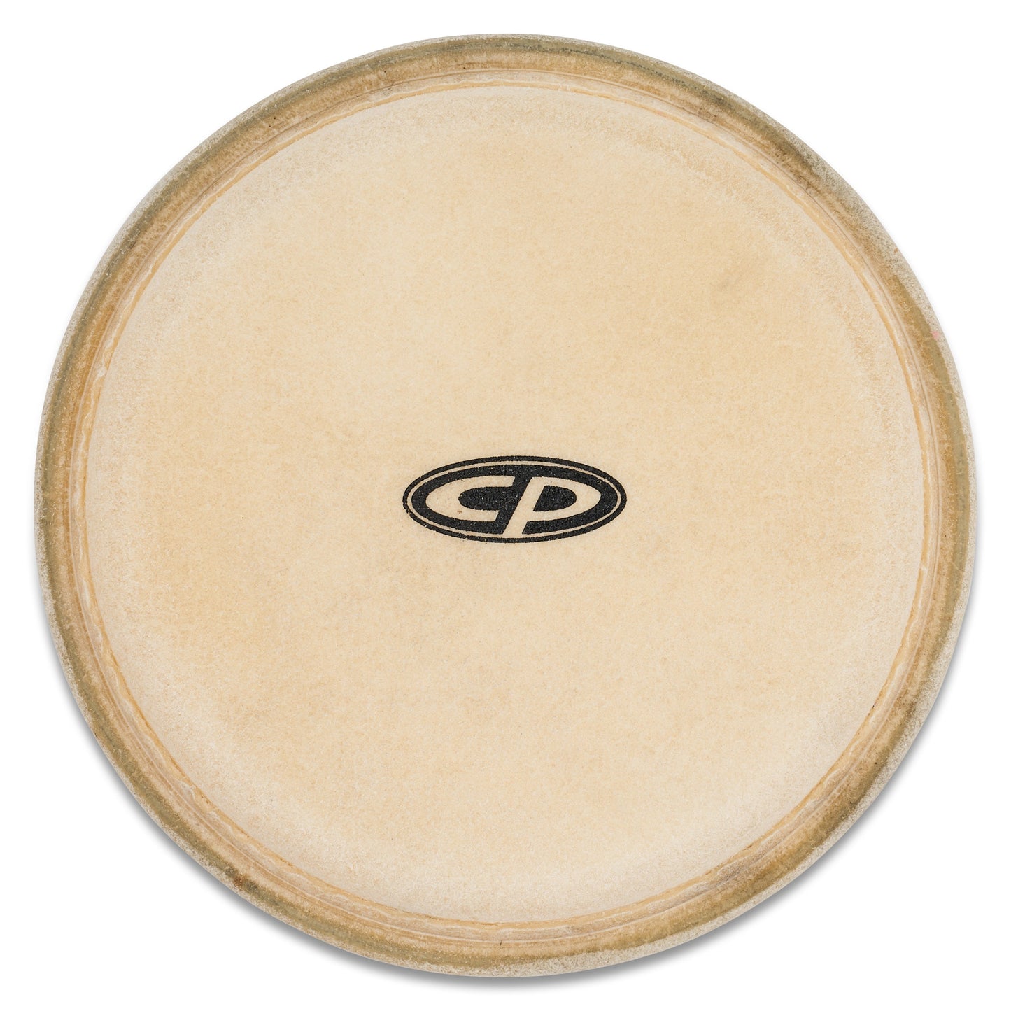 Large Bongo HD for CP605 and WB900