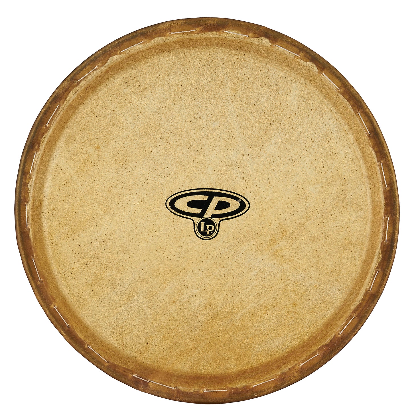 CP 11 Conga Head for CP646/CP643
