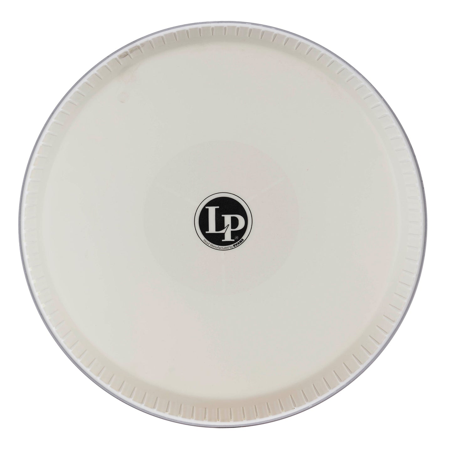 11 LP Tri - center Quinto Head By Evans
