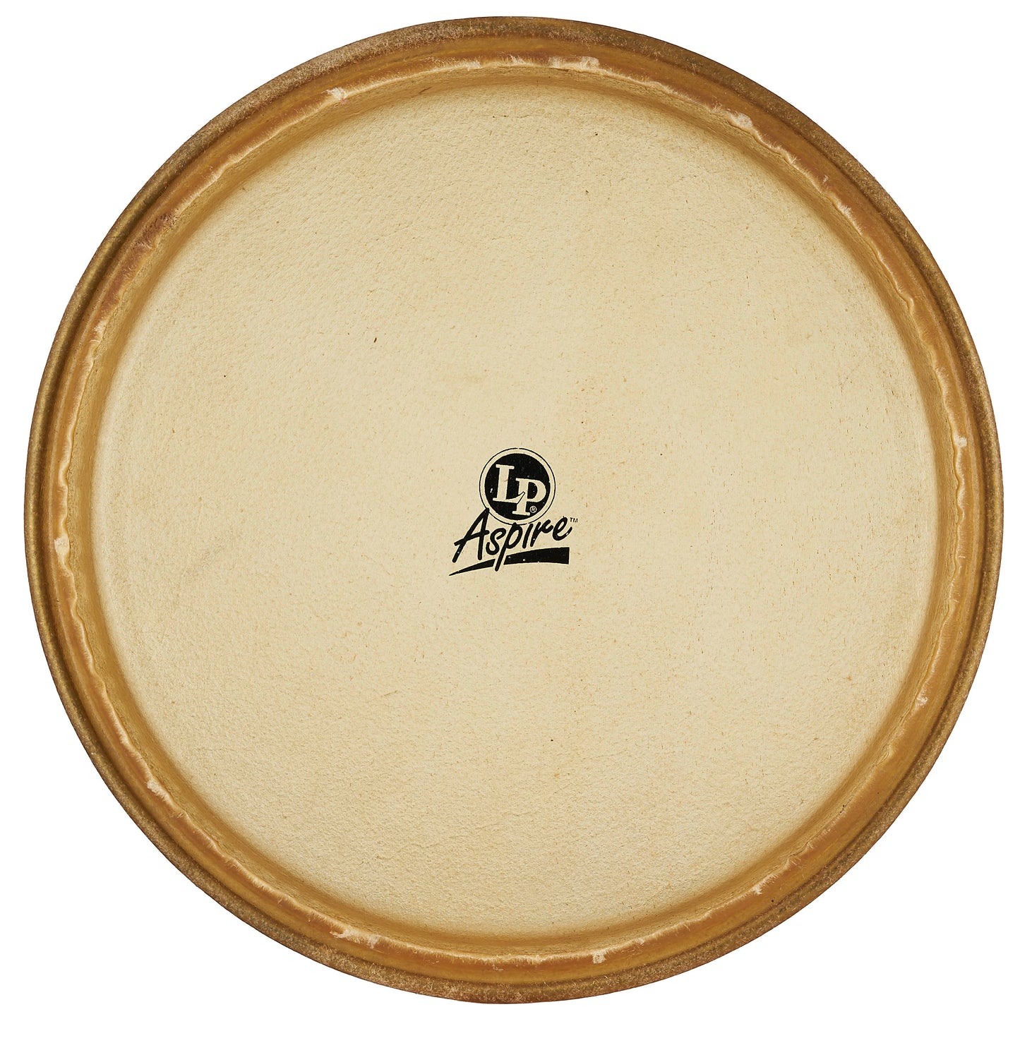 LP Aspire 12 Rawhide Tumba Head