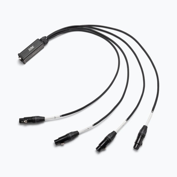 On-Stage Produciton-Grade Snake Signal Cable (Female)