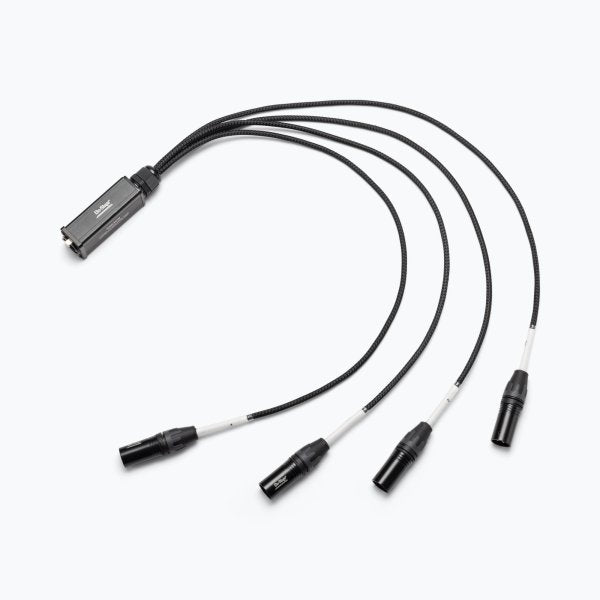 On-Stage Produciton-Grade Snake Signal Cable (Male)