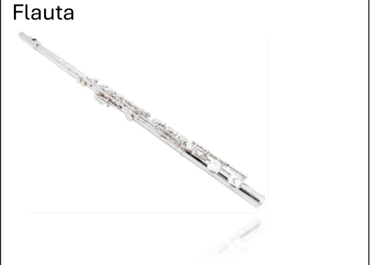 Victory SFL-32S Concert Flute