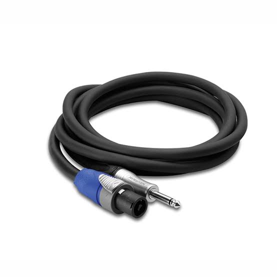 Edge Speaker Cable, Neutrik speakON to 1/4 in TS, 10 ft