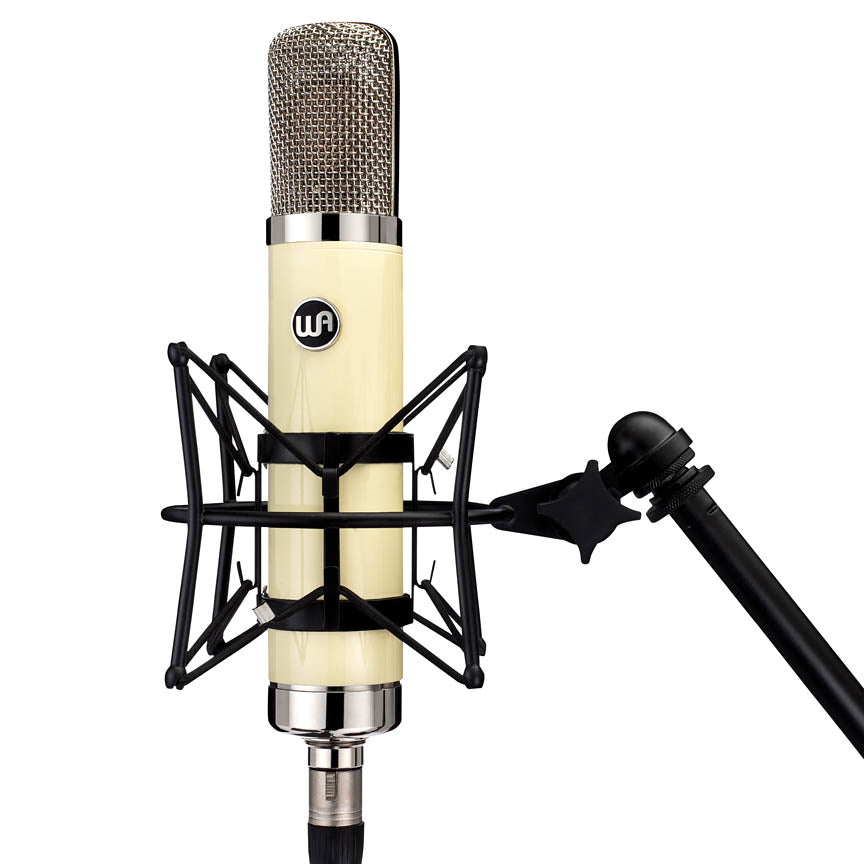 Warm Audio WA-251 Large Diaphragm Tube Condenser Microphone, view 3