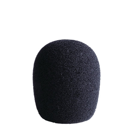 Lewitt LCT 40 Ws Windscreen