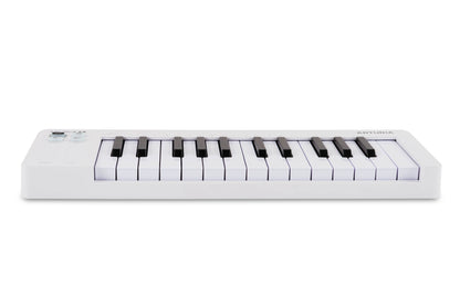 Arturia MicroLab mk3 25-Key MIDI Controller - White - view 4