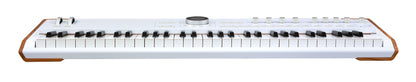 Arturia AstroLab Stage Keyboard (37, 61 or 88 Key) - 61-Key - view 5