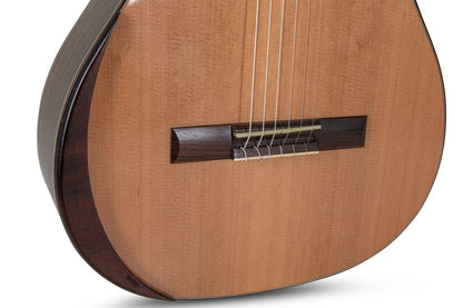 Manuel Rodriguez Superior B-C, Cedar/Flamed Eucalyptus 4/4, Gloss, Armrest - view 6