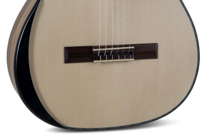 Manuel Rodriguez Tesoro de Guinea Limited Model, Limba Negra A, Set w/Case, Foot Rest - view 6