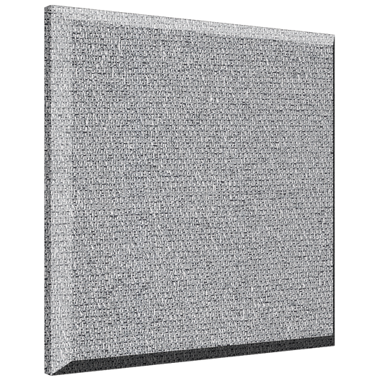 ProPanel B222PET