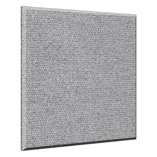 ProPanel B244PET Ceiling