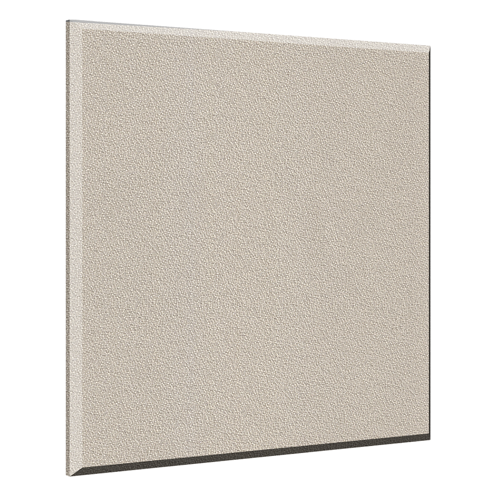 ProPanel B244BIR Ceiling