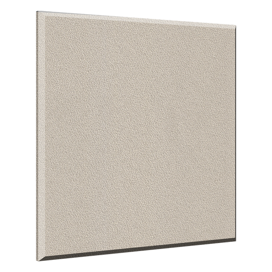 ProPanel B244BIR Ceiling