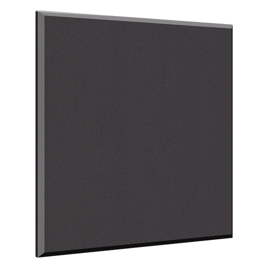 ProPanel B244ONY Ceiling