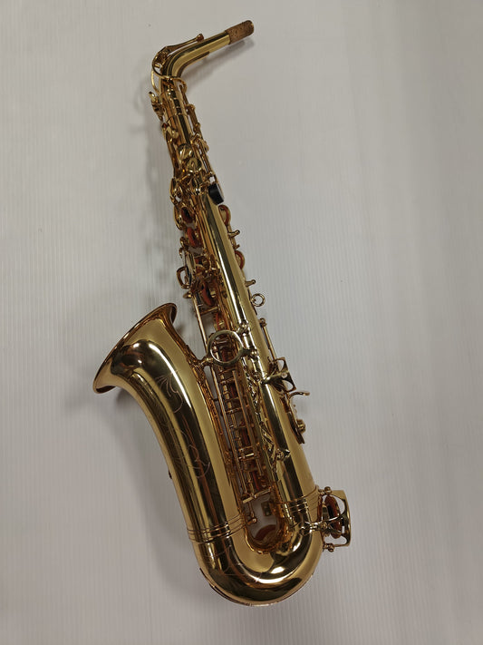 Demo Series  Alto Saxophone (AG-101A)