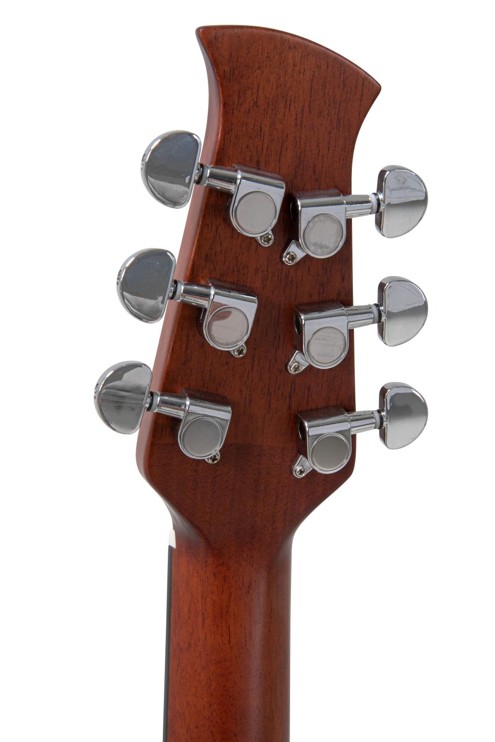 Applause Wood Classic Dreadnought Natural Gloss - view 10