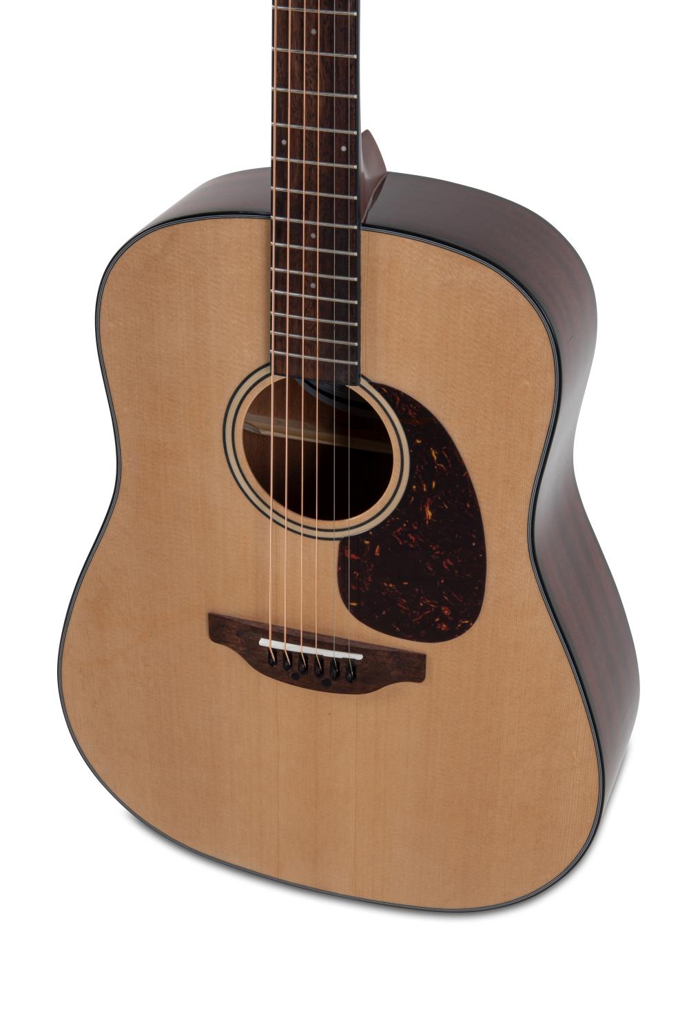 Applause Wood Classic Dreadnought Natural Gloss - view 5