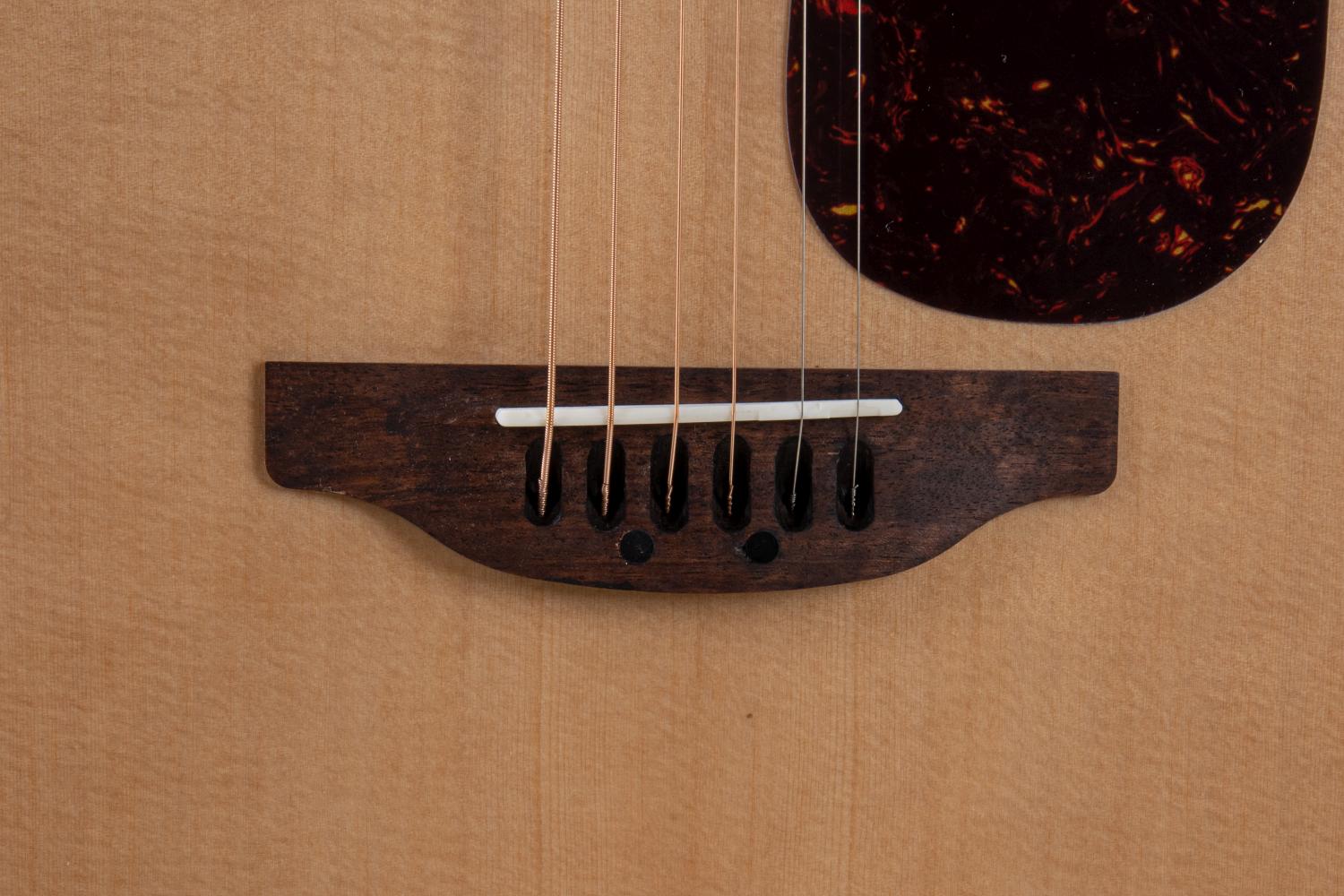 Applause Wood Classic Dreadnought Natural Gloss - view 7