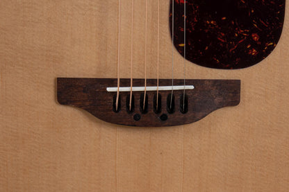 Applause Wood Classic Dreadnought Natural Gloss - view 7