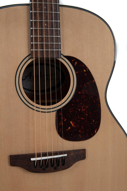 Applause Wood Classic OM, Naturall Gloss - view 8