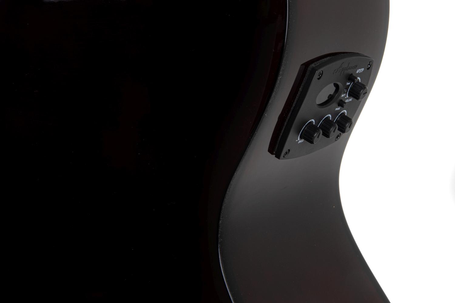 Applause Wood Jumbo 12-String - view 11