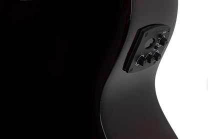 Applause Wood Jumbo 12-String - view 11