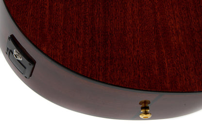 Applause Wood Cutaway Electro - view 13