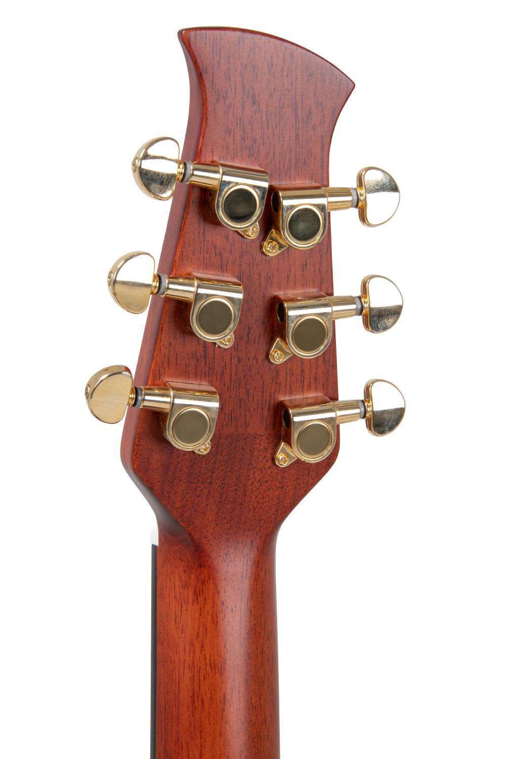 Applause Wood Cutaway Electro - view 15