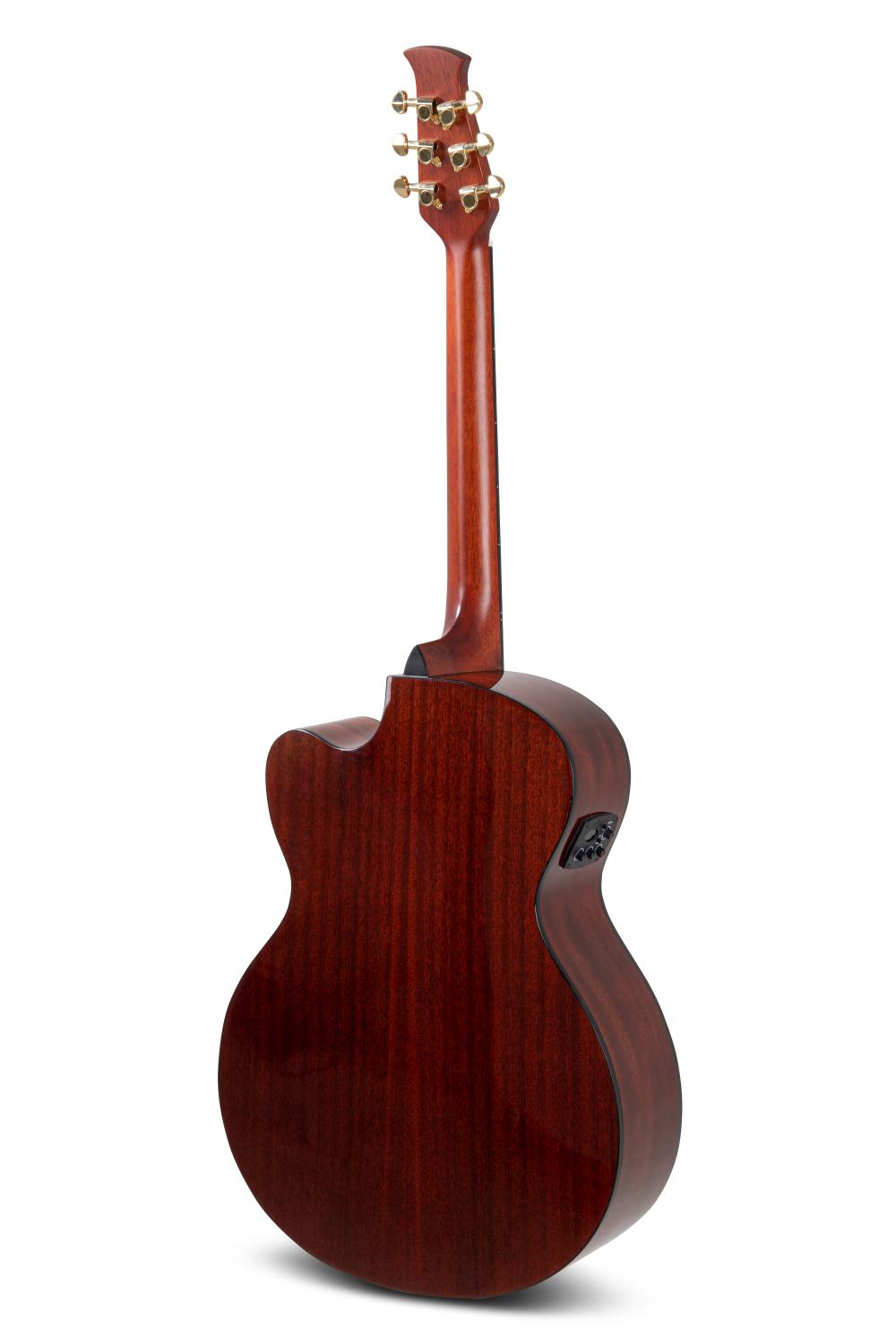 Applause Wood Cutaway Electro - view 3