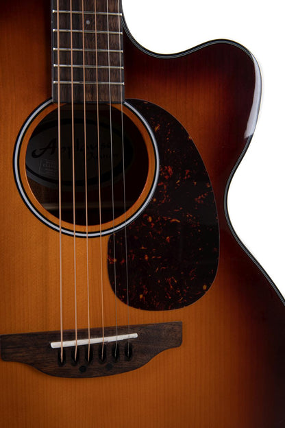 Applause Wood Cutaway Electro - view 8