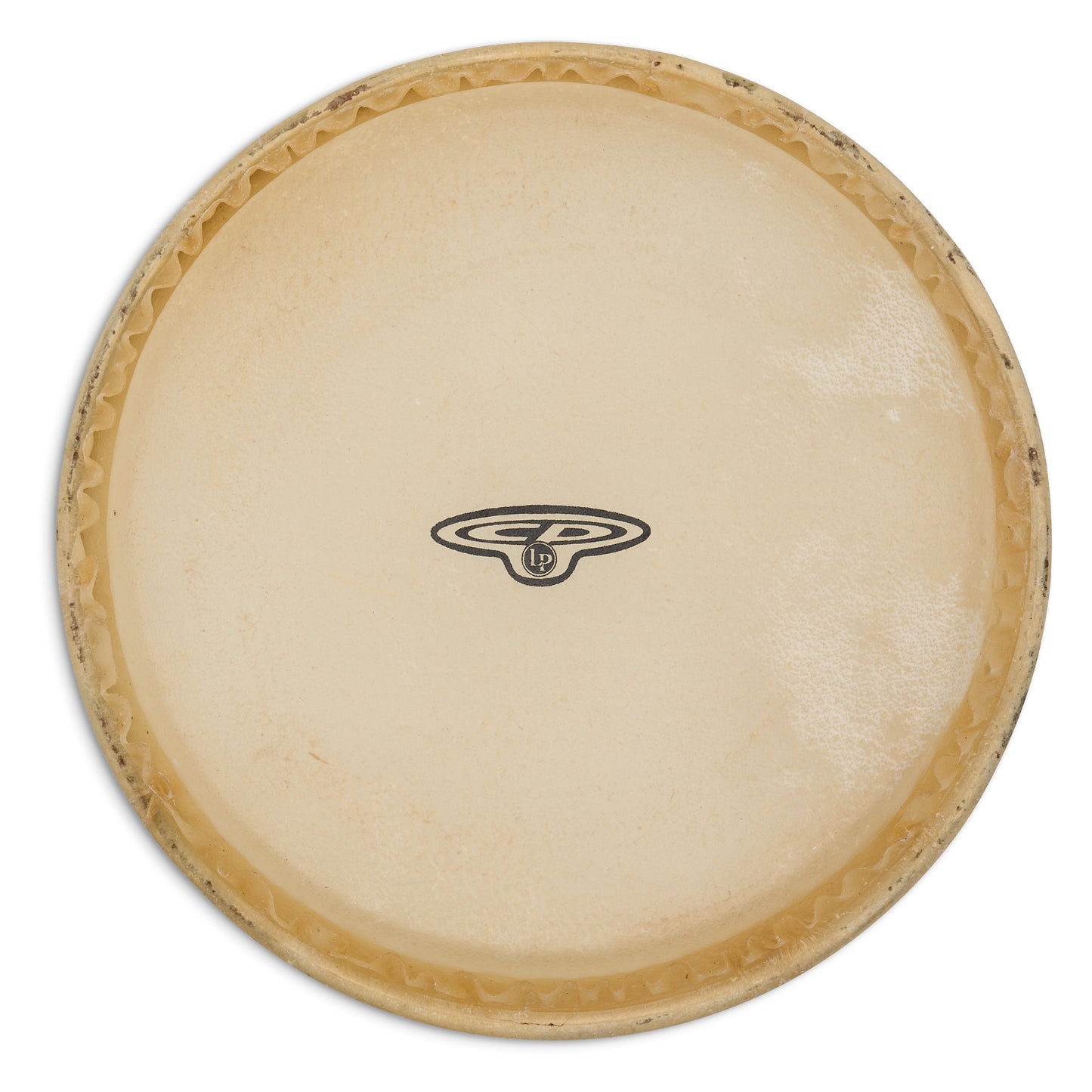 CP 6 Rawhide Bongo Head