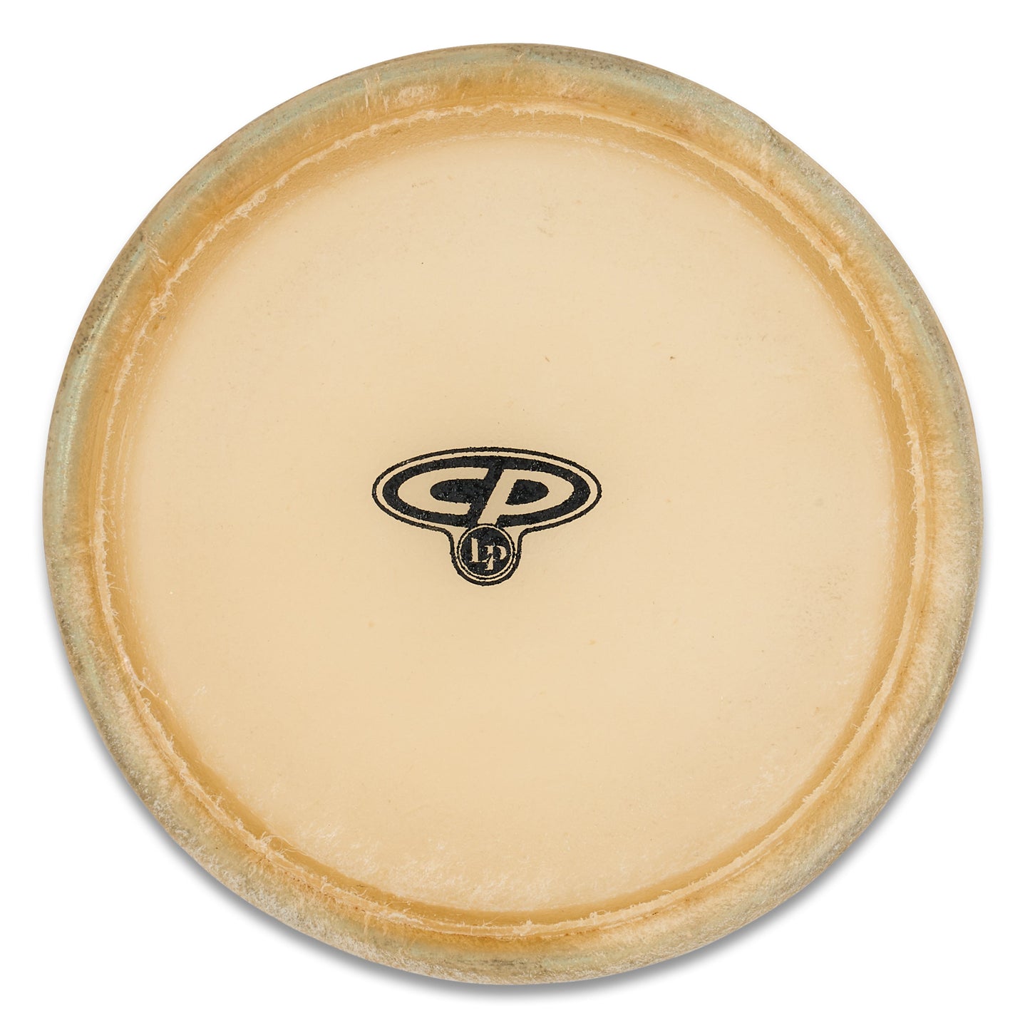 CP 6 Premounted Bongo Head for CP626