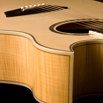 Washburn EA20 Festival Mini Jumbo Cutaway Acoustic-Electric