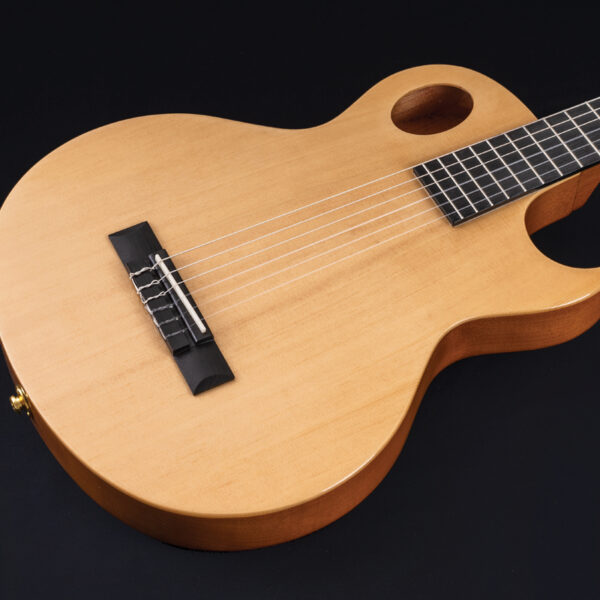 Washburn EACT42S Festival Thinline Jumbo Cutaway Acoustic-Electric Nylon String
