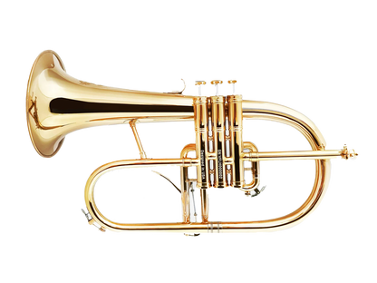 Revelation Series Professional Flugelhorn