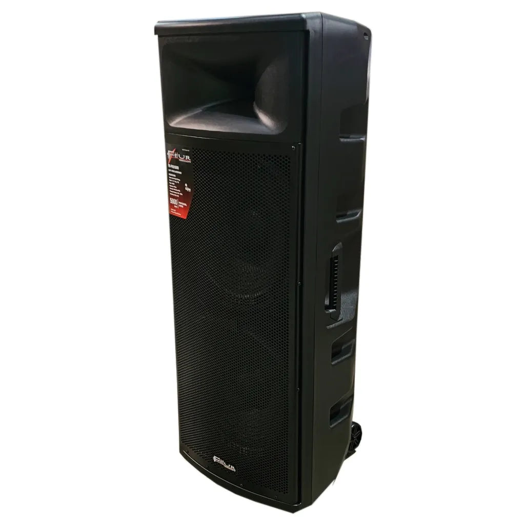 FEUR Dual 15 Inch Active Loudspeaker System FU-PRO15500, view 2