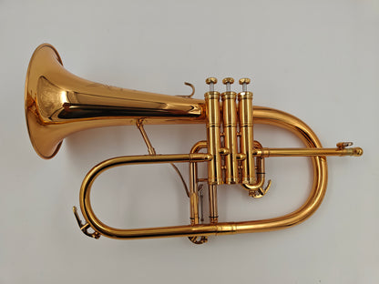 DEMO - Revelation Series Professional Flugelhorn (VFLH-RSGL)