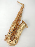 Revelation Series Professional Alto Saxophone