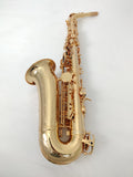 Revelation Series Professional Alto Saxophone