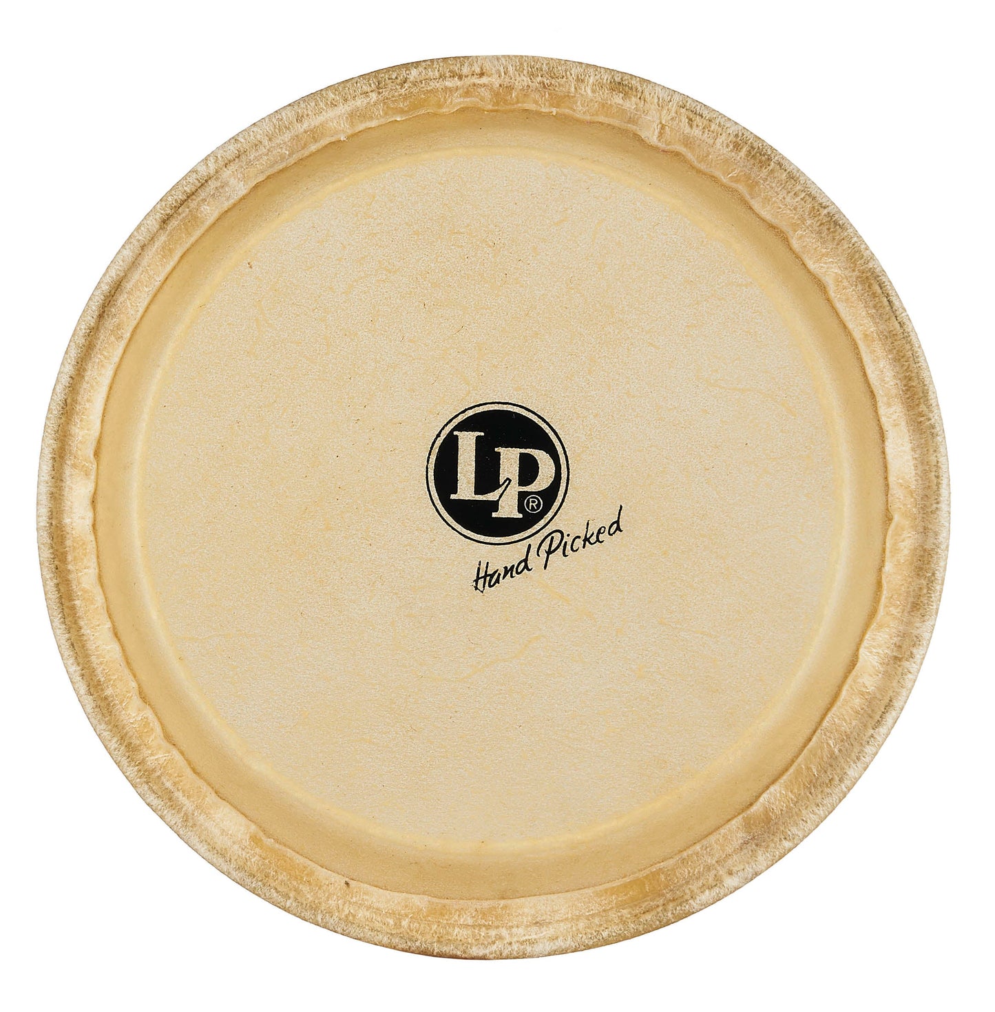 LP 8 Rawhide Jr. Conga Head