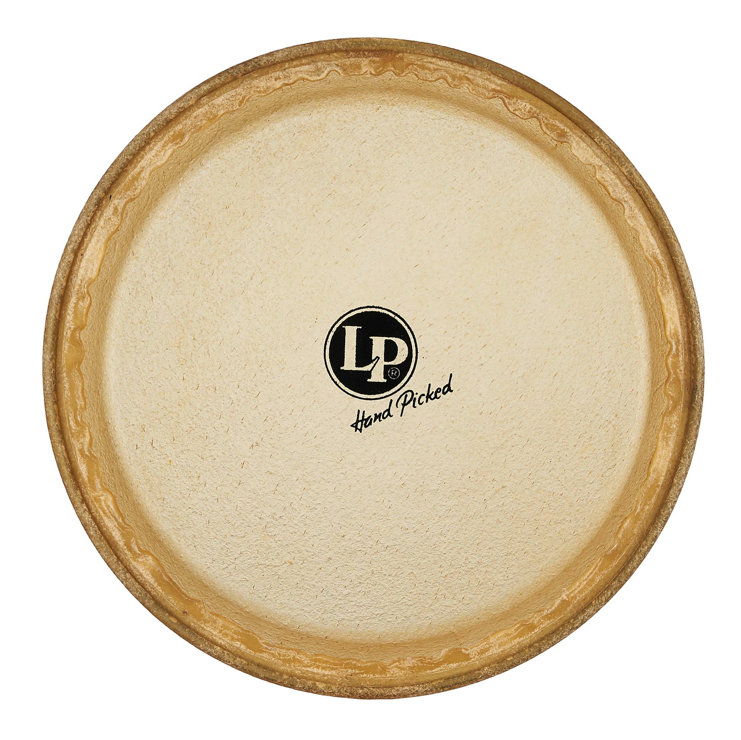 LP 9 Rawhide Jr. Conga Head