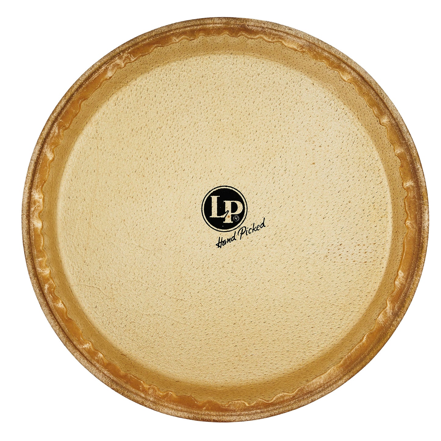 LP 11 Rawhide Quinto Head