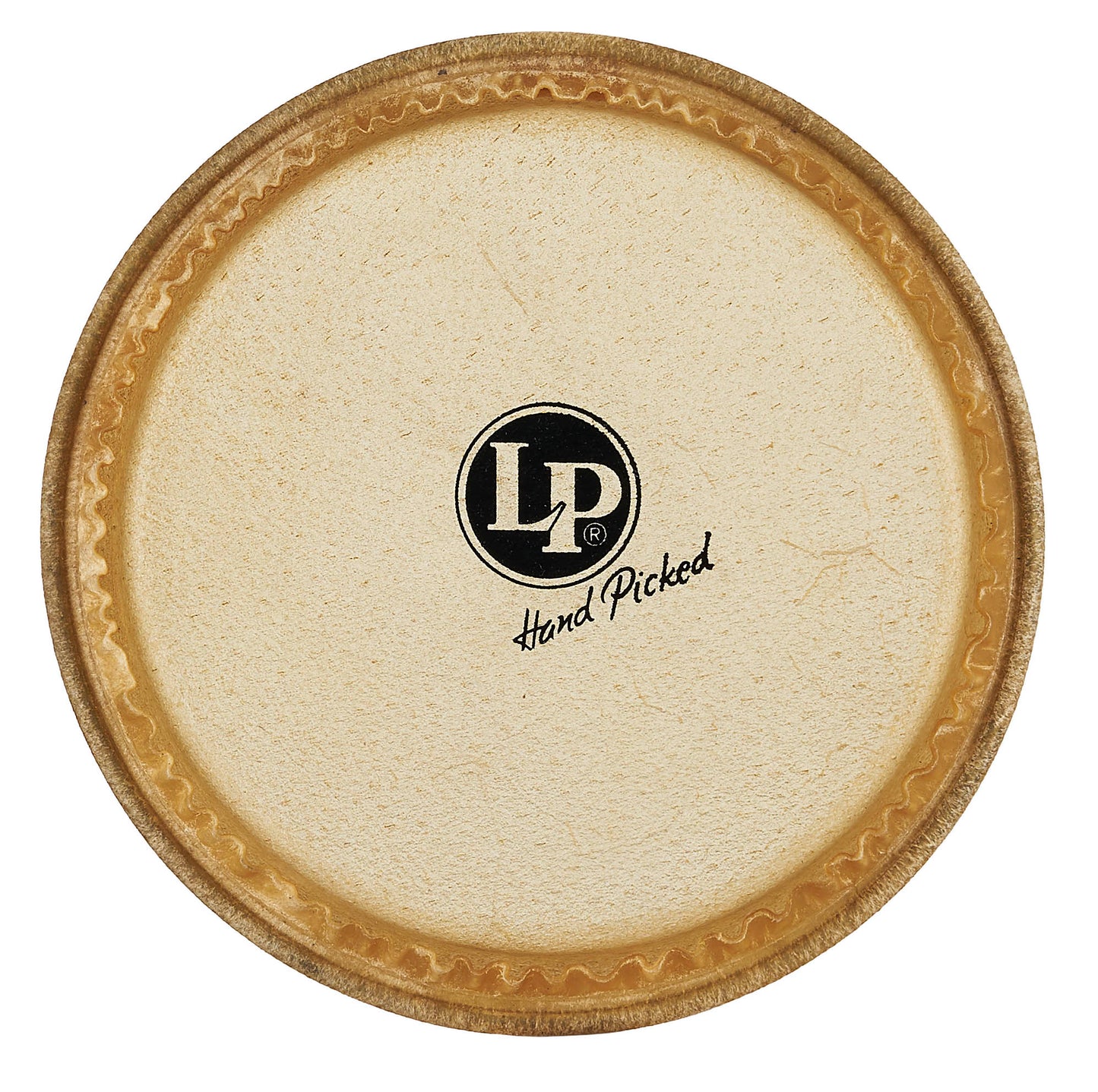 LP492 Okonkolo Bata Head Large