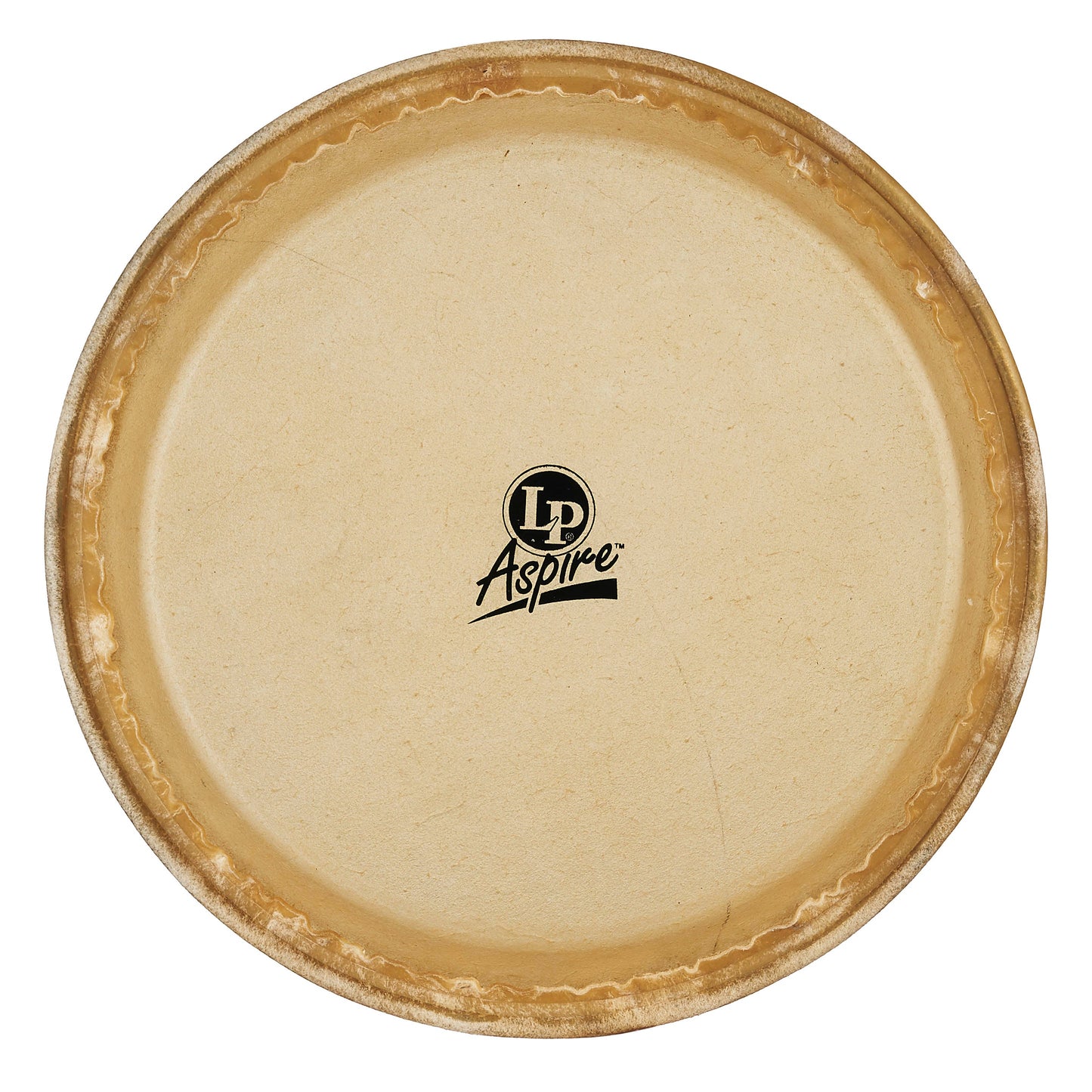 LP Aspire 10 Rawhide Quinto Head