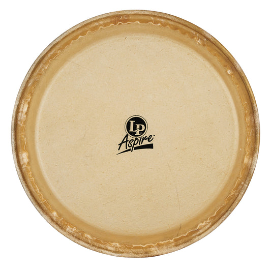 LP Aspire 10 Rawhide Quinto Head