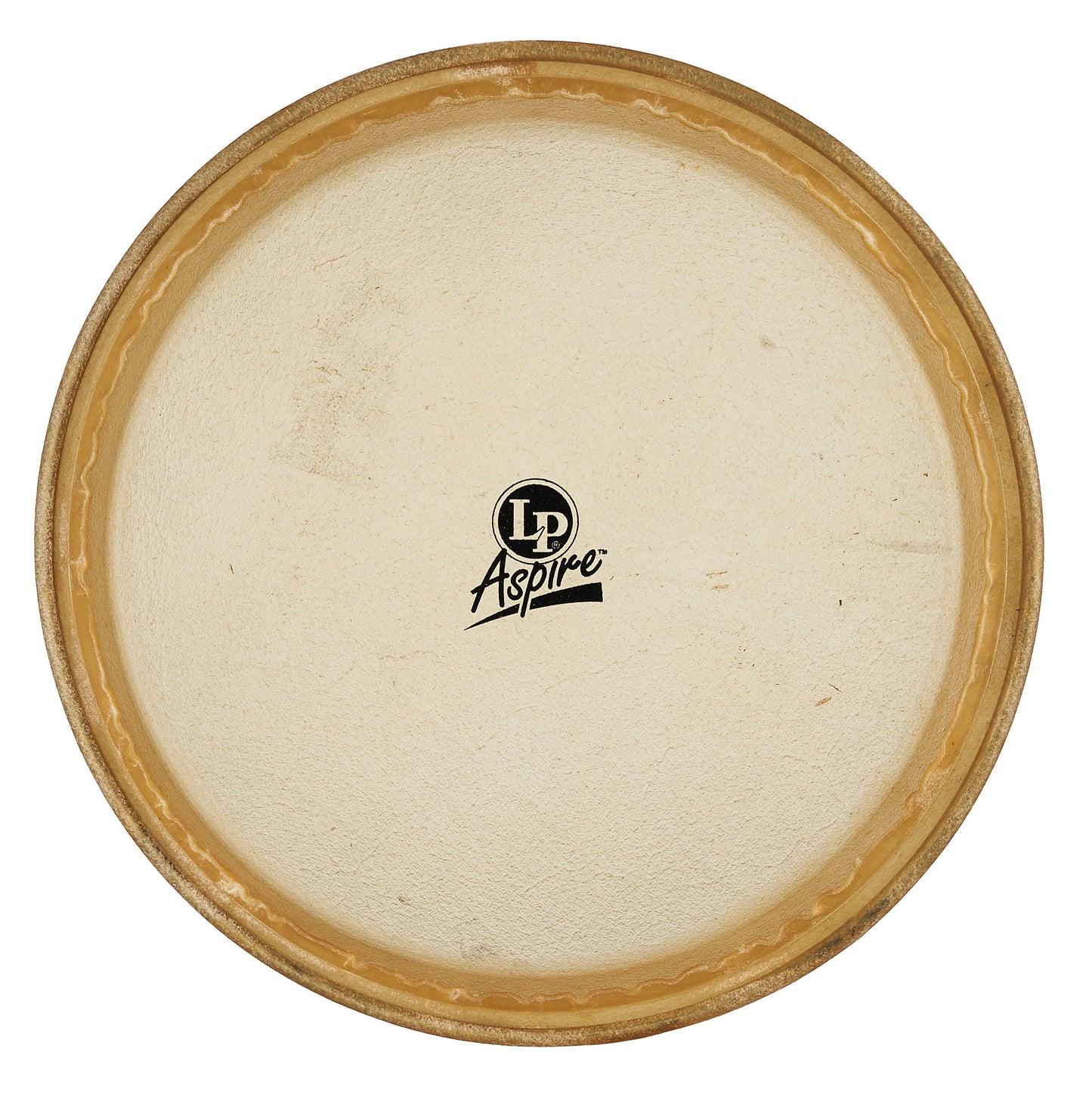 LP Aspire 11 Rawhide Conga Head